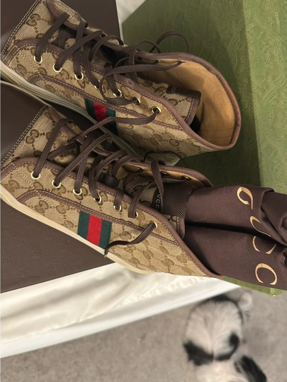 Gucci Brown GG Supreme High-Top Sneakers with Green & Red Web